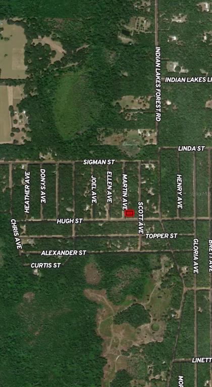 This is an aerial map showing a vacant lot highlighted in red near several streets — LOT 13 MARTIN AVENUE, INTERLACHEN, FL