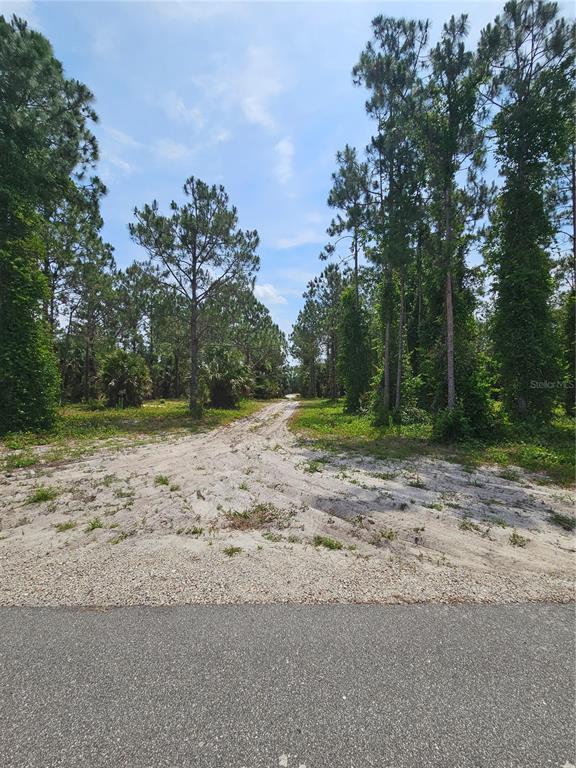 A sandy path leads from an asphalt road into a wooded, undeveloped lot — GENEVA WOODS COVE, GENEVA, FL