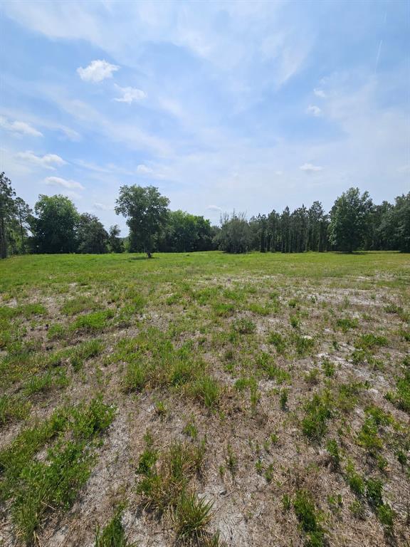 A wide, grassy, and partially sandy vacant lot is surrounded by trees under a blue sky — GENEVA WOODS COVE, GENEVA, FL
