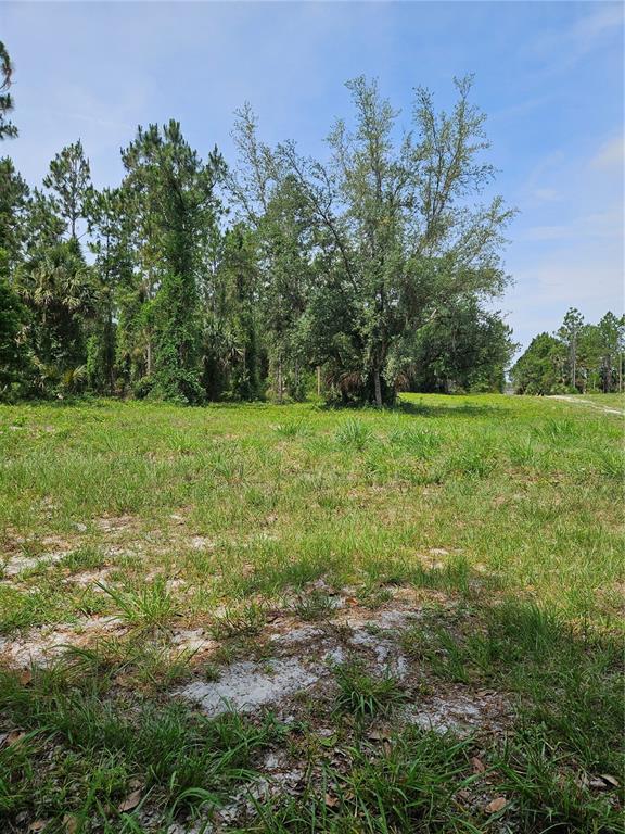 A grassy, undeveloped lot features scattered trees and shrubs under a clear blue sky — GENEVA WOODS COVE, GENEVA, FL