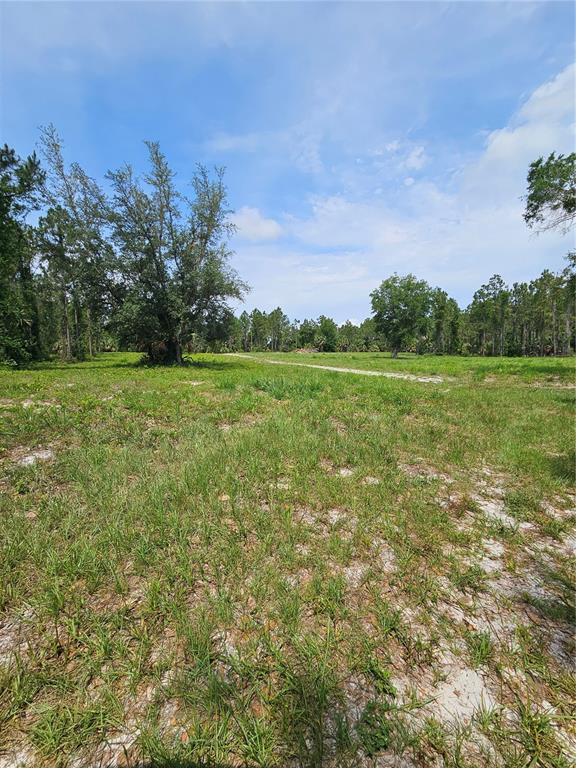 A grassy, open lot with sandy soil and scattered trees under a blue sky — GENEVA WOODS COVE, GENEVA, FL