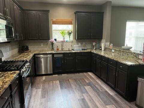 A kitchen features dark wood cabinets, granite countertops, stainless steel appliances, and wood-look flooring — 6528 CARRINGTON SKY DRIVE, APOLLO BEACH, FL