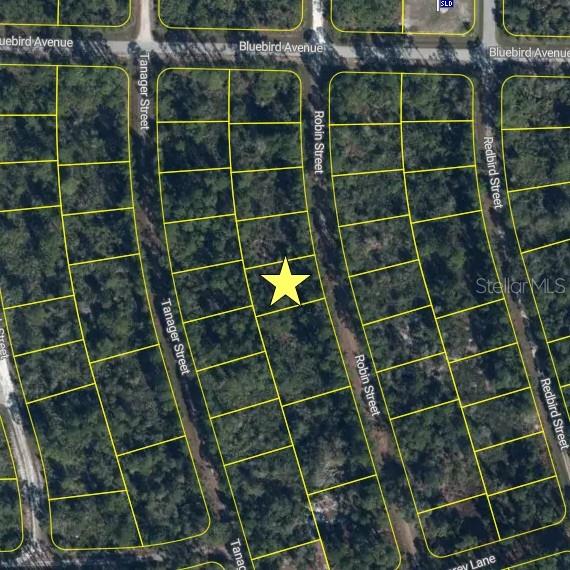 This is an aerial map showing a vacant residential lot marked with a yellow star — 1054 ROBIN STREET, LAKE PLACID, FL
