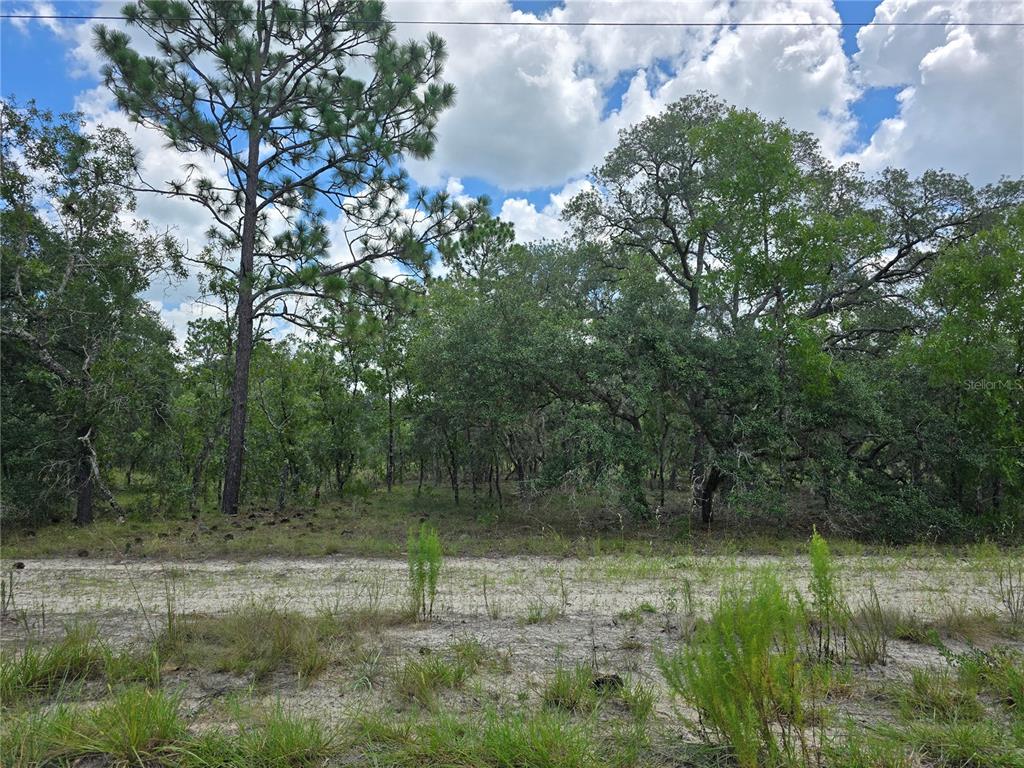 00000 SE 130TH AVE,, DUNNELLON, FL — photo 5 of 8