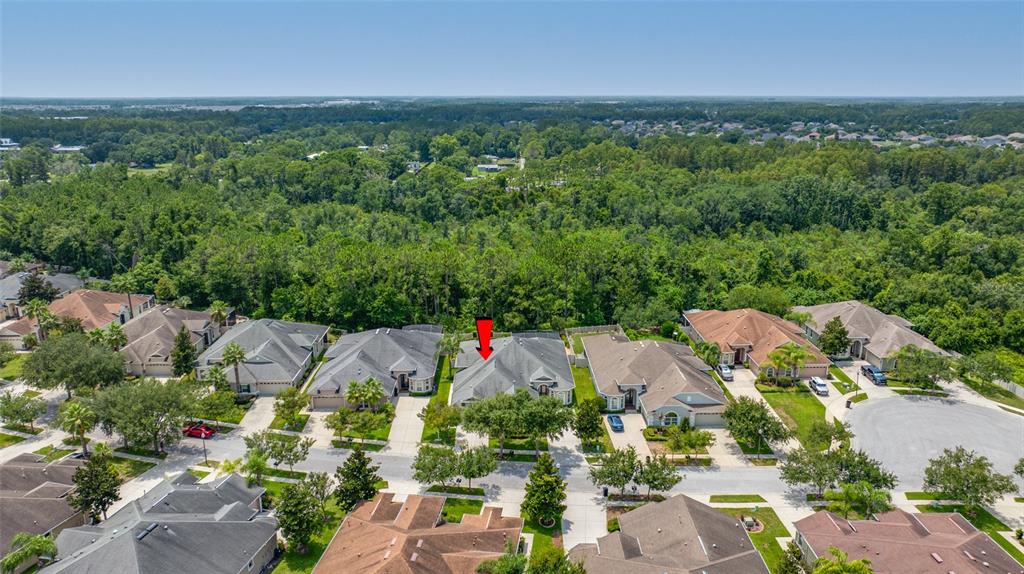 2923 DEVONOAK BOULEVARD, LAND O LAKES, FL — photo 2 of 30