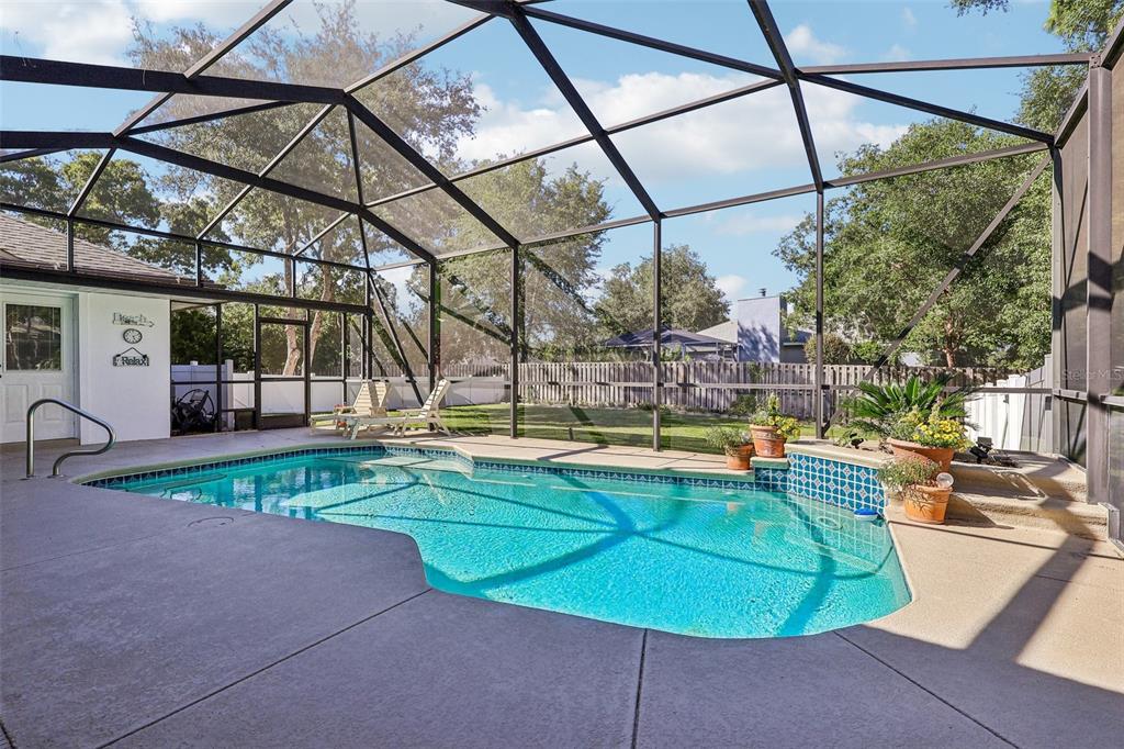 A screened-in swimming pool with a concrete deck and a fenced backyard — 64 LAKE DIAMOND BOULEVARD, OCALA, FL