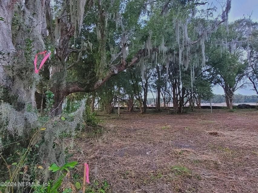 A wooded lot features large trees with Spanish moss and pink survey markers — 1250 HUNTINGTON ROAD, CRESCENT CITY, FL
