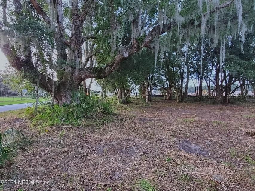 A large, moss-draped oak tree stands on a cleared, grassy lot beside a paved road — 1250 HUNTINGTON ROAD, CRESCENT CITY, FL