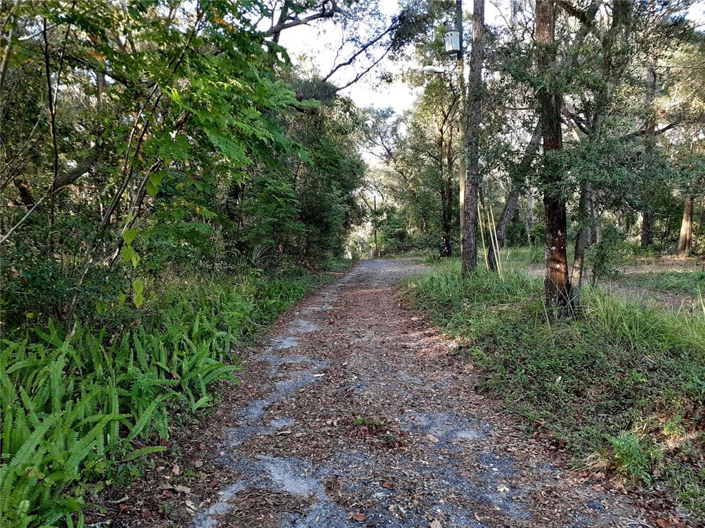 A dirt path leads through a wooded area with dense trees and green foliage — BLUE RIDGE AVENUE, ORANGE CITY, FL