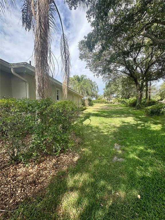 A side view of a house exterior with a palm tree, landscaping, and a grassy yard — 1801 SANDHILL LANE, WINTER HAVEN, FL
