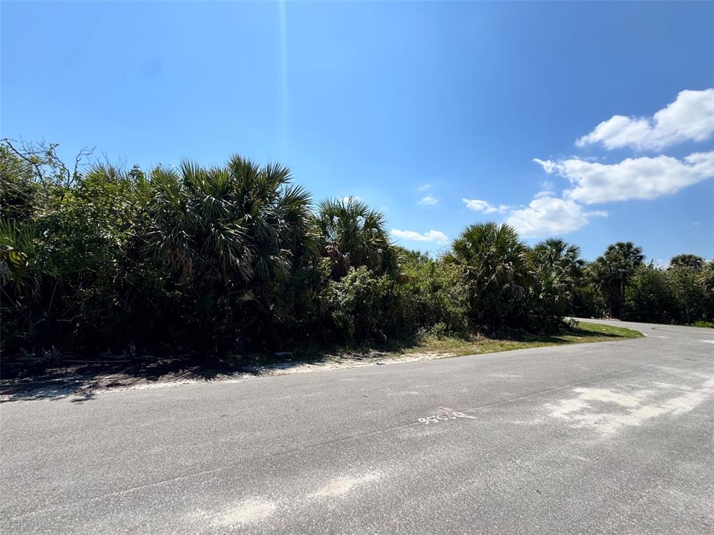 A paved road curves alongside a dense area of palm trees and native vegetation — 598 LAMBRIGHT STREET SW, PALM BAY, FL