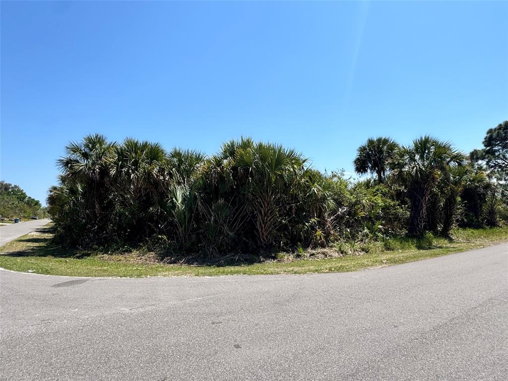 A vacant, overgrown corner lot with palm trees and vegetation sits beside an asphalt road — 598 LAMBRIGHT STREET SW, PALM BAY, FL