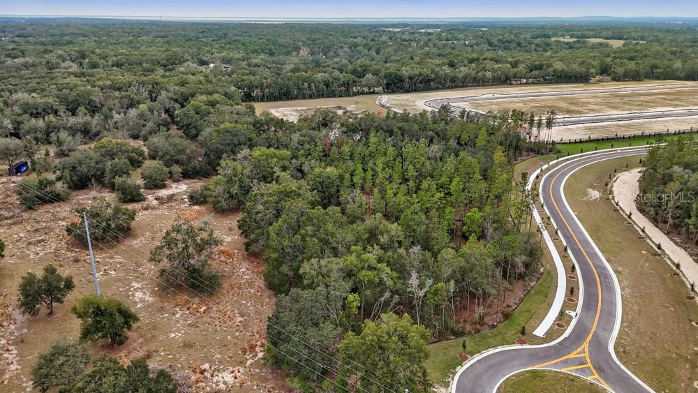 An aerial view shows a wooded lot adjacent to a paved road and residential development — 5936 STONEYBROOK HILLS PARKWAY, MOUNT DORA, FL