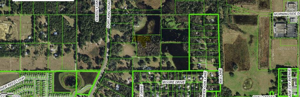 MOORE DRIVE, DADE CITY, FL — photo 2 of 3