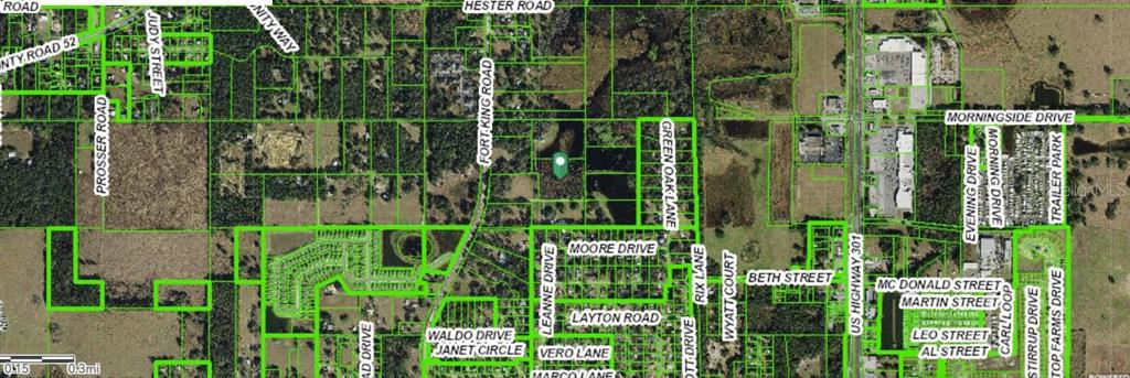 MOORE DRIVE, DADE CITY, FL — photo 3 of 3