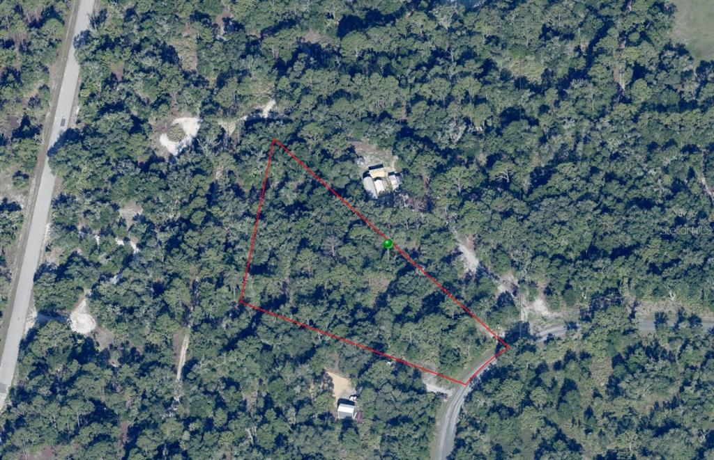 An aerial view shows a wooded lot outlined in red with a small structure nearby — 9810 N CAMPION TERRACE, CRYSTAL RIVER, FL