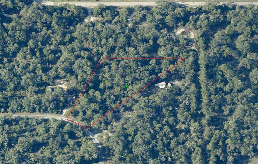 An aerial view shows a wooded lot outlined in red with a small structure nearby — 9810 N CAMPION TERRACE, CRYSTAL RIVER, FL