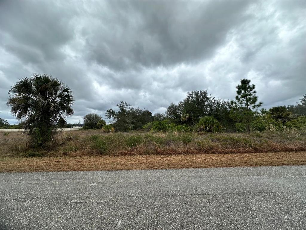 A view of a vacant, grassy lot with trees and shrubs under a cloudy sky — 1610 SCOTT AVENUE, LEHIGH ACRES, FL