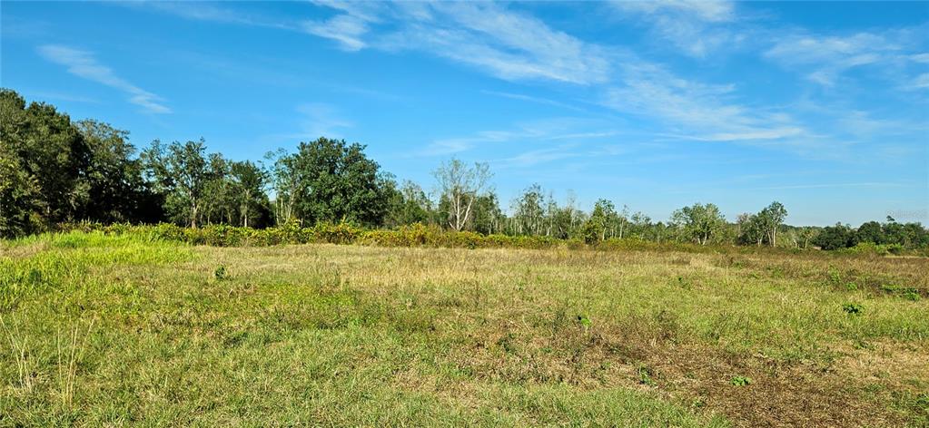 A wide, grassy field stretches toward a line of trees under a blue sky — US-27, LAKE WALES, FL