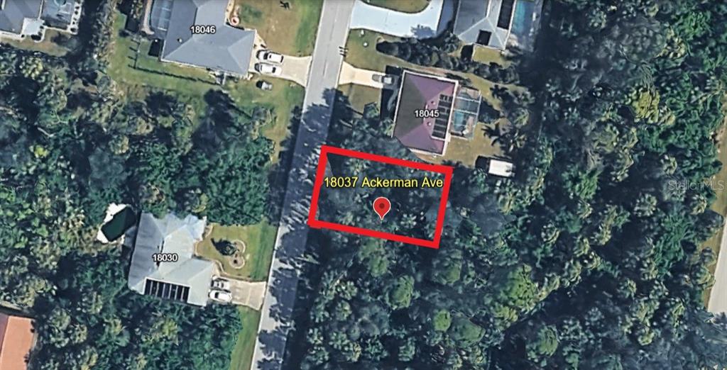 This aerial map shows a wooded, undeveloped residential lot located between two existing houses — 18037 ACKERMAN AVENUE, PORT CHARLOTTE, FL