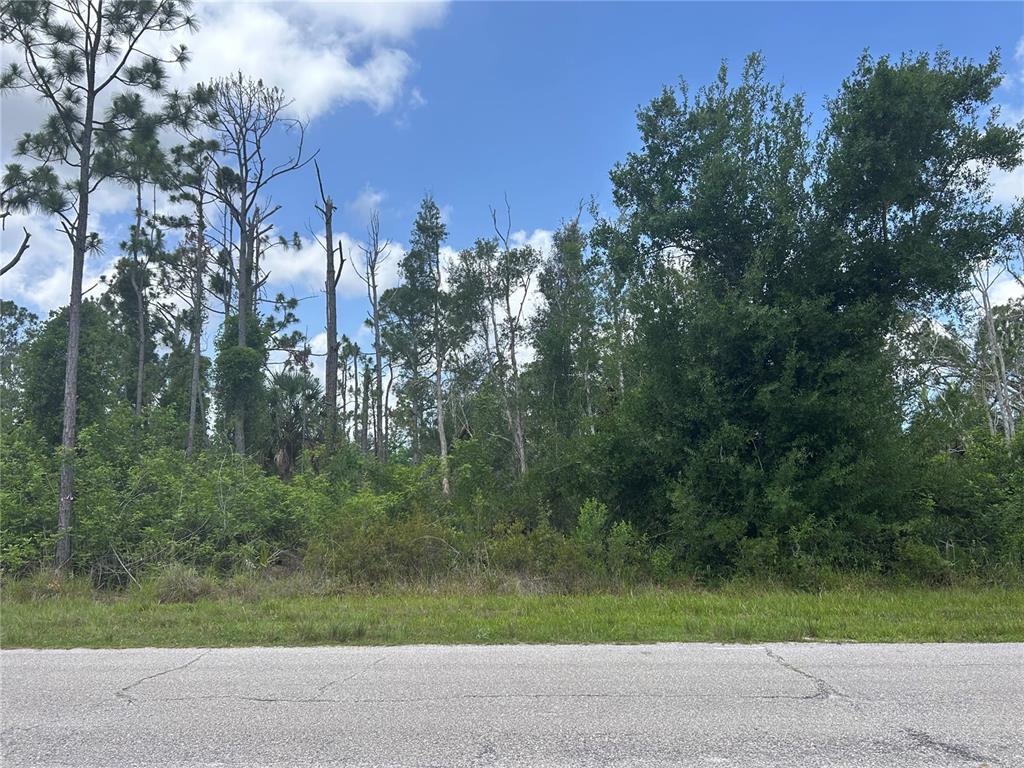 A paved road runs in front of a wooded lot with tall trees and brush — 14309 SANILAC AVENUE, PORT CHARLOTTE, FL