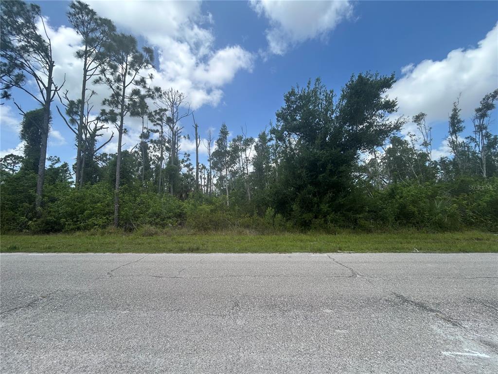 A paved road runs in front of a vacant, wooded lot under a cloudy sky — 14309 SANILAC AVENUE, PORT CHARLOTTE, FL