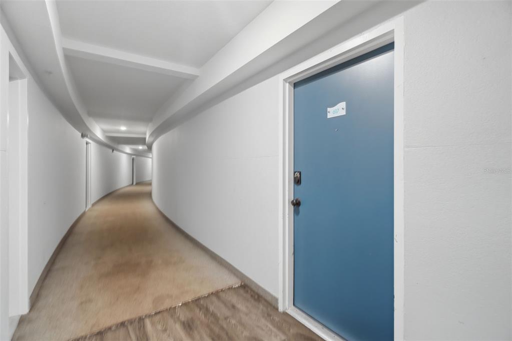 A curved hallway with light-colored walls, carpeted flooring, and a blue door labeled 617 — 3315 58TH AVENUE S UNIT 617, ST PETERSBURG, FL