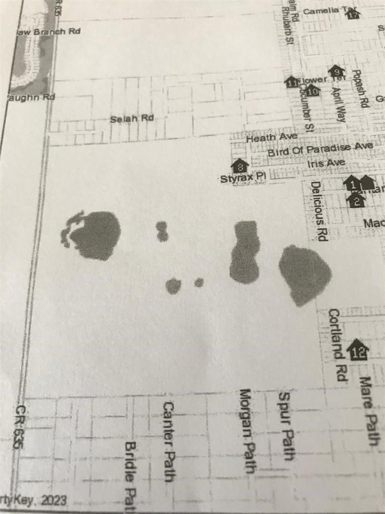 This is a map showing local streets and residential areas with numbered property locations — 2138 Lantana Avenue, Sebring FL 33875, SEBRING, FL
