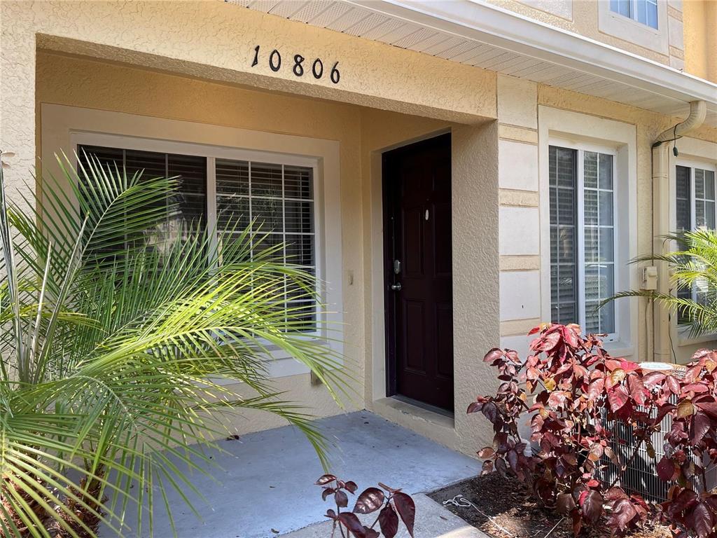 The exterior of a tan stucco townhouse features a dark front door and a palm tree — 10806 BRICKSIDE COURT, RIVERVIEW, FL