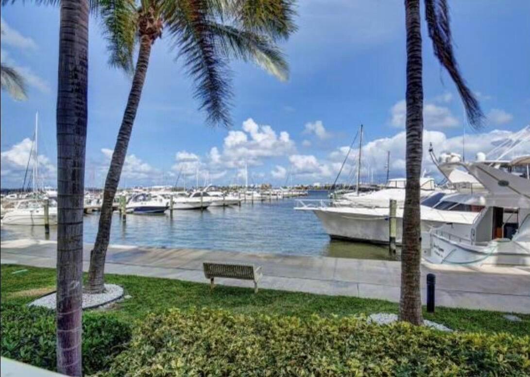 A view of a marina with docked boats, palm trees, and a bench on a walkway — 804 E Windward Way # 316, Lantana FL 33462, LANTANA, FL