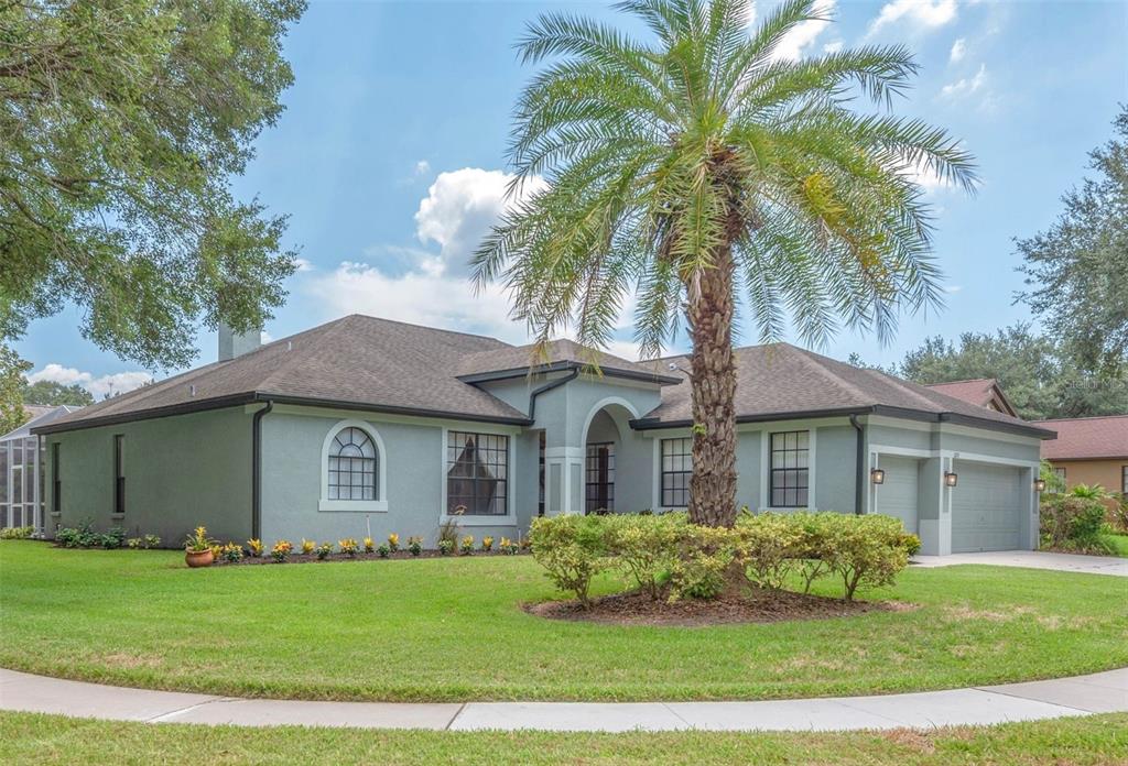 A single-story house with light blue stucco, a palm tree, and a two-car garage — 2219 LONGMORE CIRCLE, VALRICO, FL