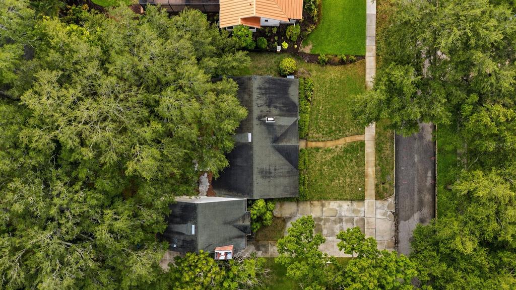 An aerial view shows a house with a dark roof surrounded by large, mature trees — 3123 W OAKLYN AVENUE, TAMPA, FL