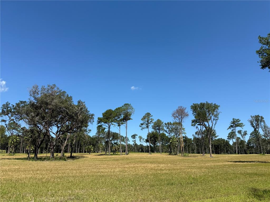 DR #7 (10ac) NW 193RD ST, MICANOPY, FL — photo 2 of 7