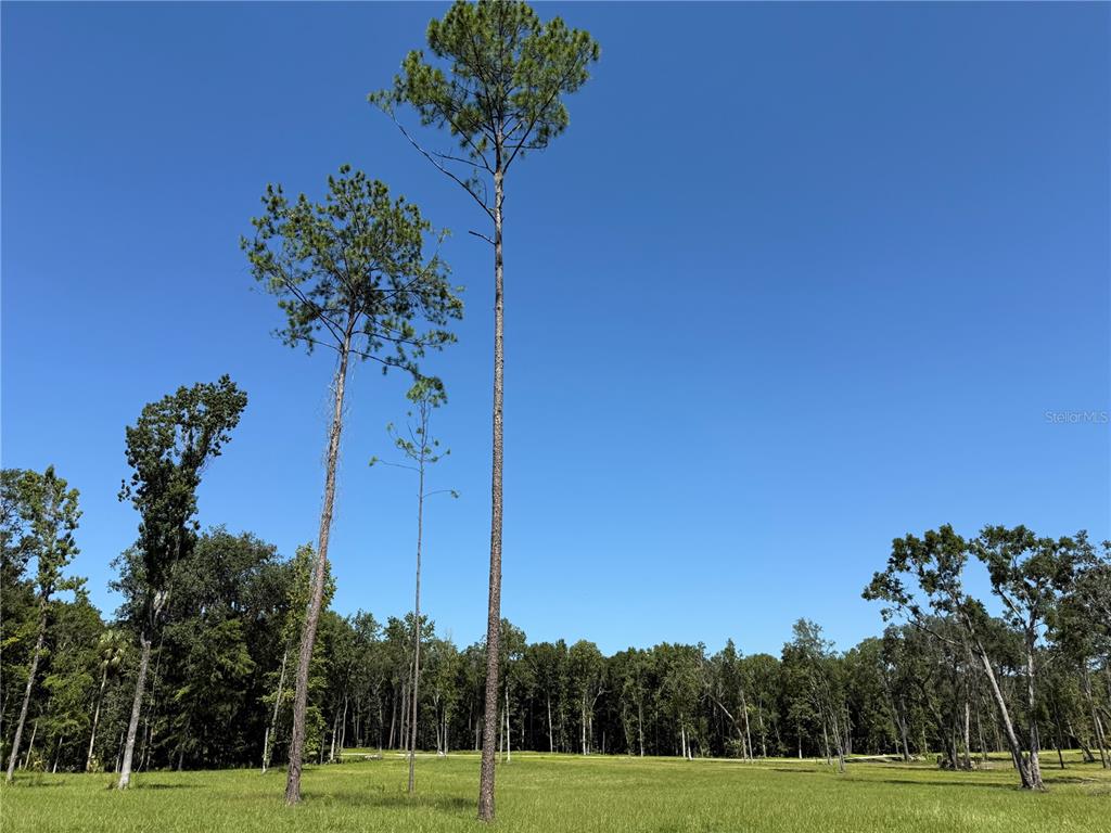 DR #7 (10ac) NW 193RD ST, MICANOPY, FL — photo 3 of 7