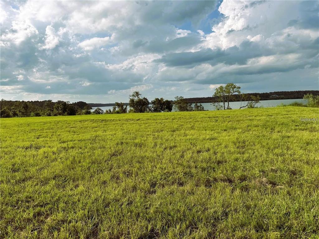 A grassy field overlooks a lake under a cloudy sky — 17862 HITHER HILLS CIRCLE, WINTER GARDEN, FL