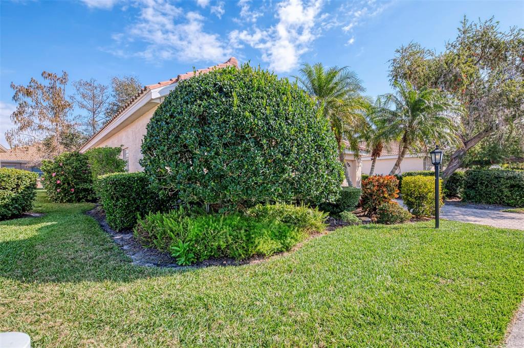 A large, manicured shrub sits in the front yard of a single-story house with palms — 5271 HIGHBURY CIRCLE, SARASOTA, FL
