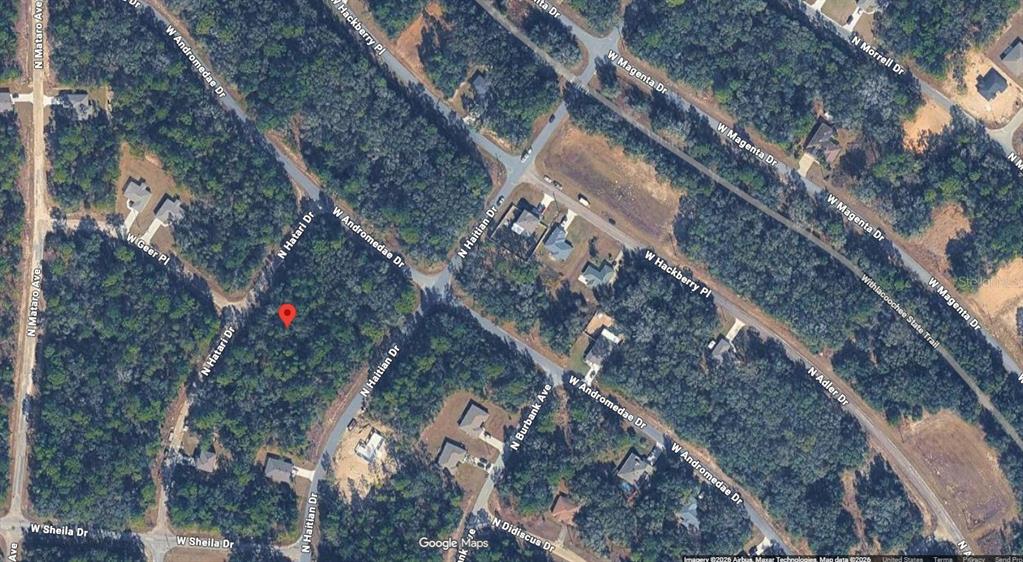 This is a satellite map view showing a wooded residential lot marked with a red pin — 10865 N HATARI DRIVE, CITRUS SPRINGS, FL