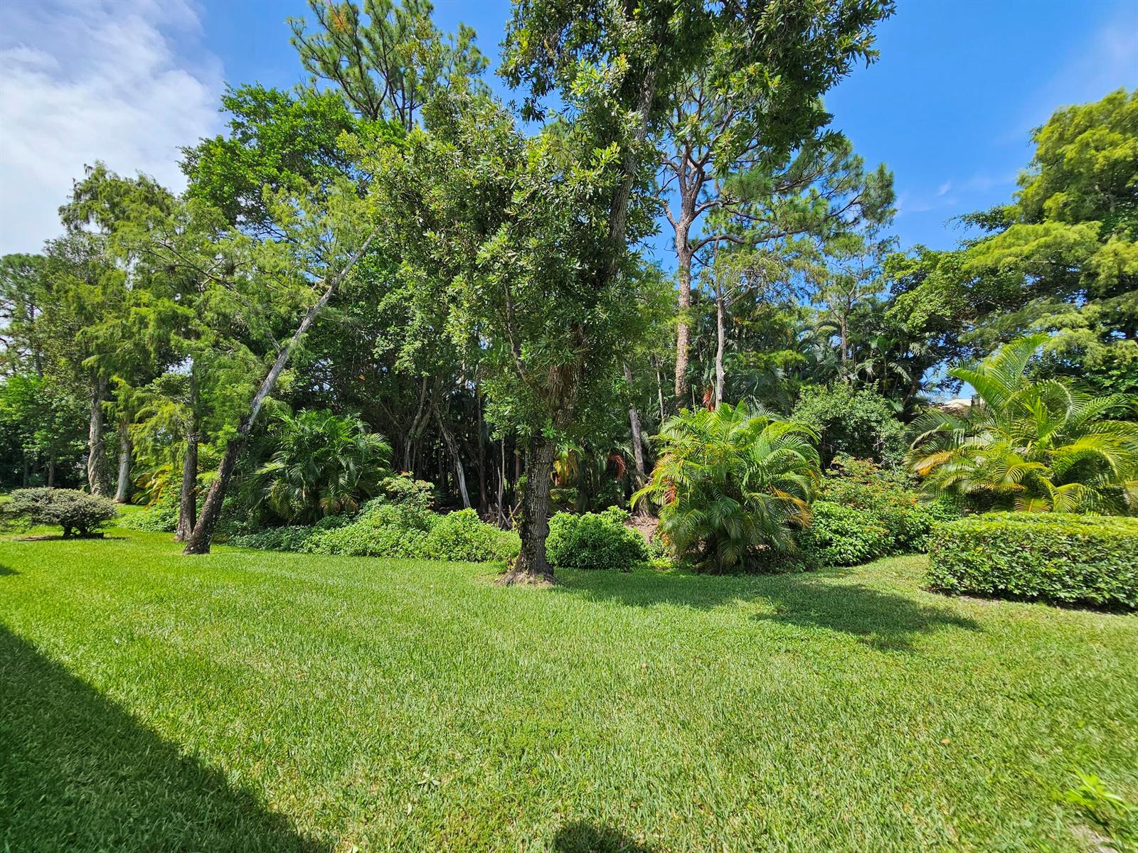 A lush green lawn leads to a dense cluster of trees and tropical landscaping — 21864 Arriba Real # 3d, Boca Raton FL 33433, BOCA RATON, FL