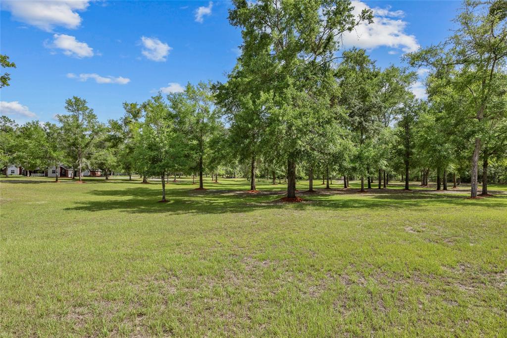 A dirt driveway leads through an open gate toward a house surrounded by many trees — 1827 SW SHILOH STREET, FORT WHITE, FL
