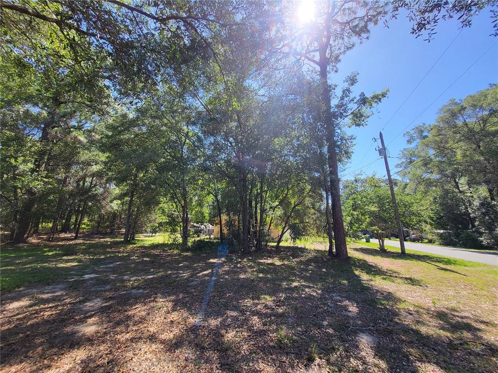 A wooded residential lot with tall trees and a utility pole near a paved road — 6491 E LOWDEN STREET, INVERNESS, FL