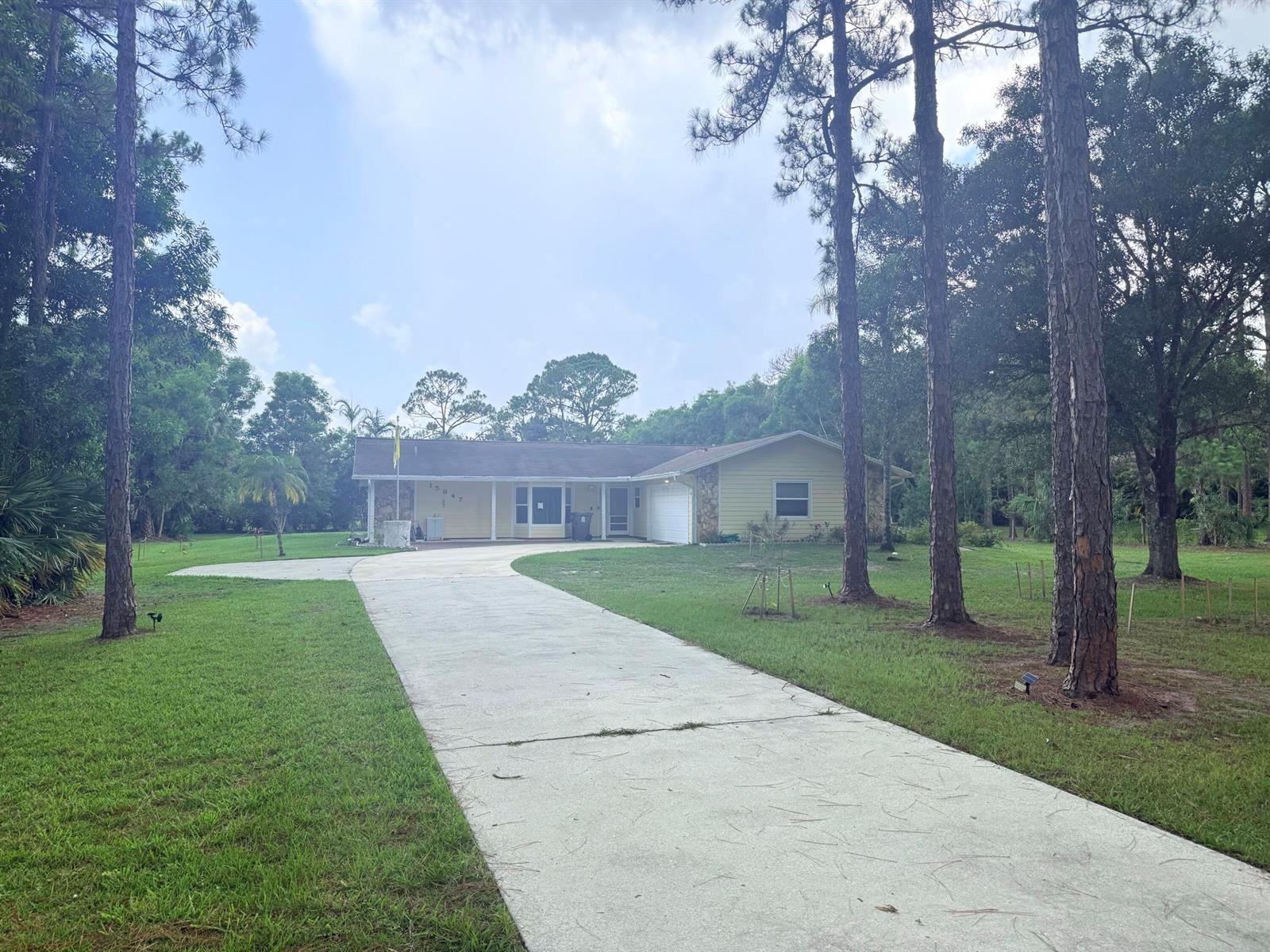A single-story house with a concrete driveway and tall pine trees in the front yard — 15647 N 116th Ter Terrace N, FL 33478, FL