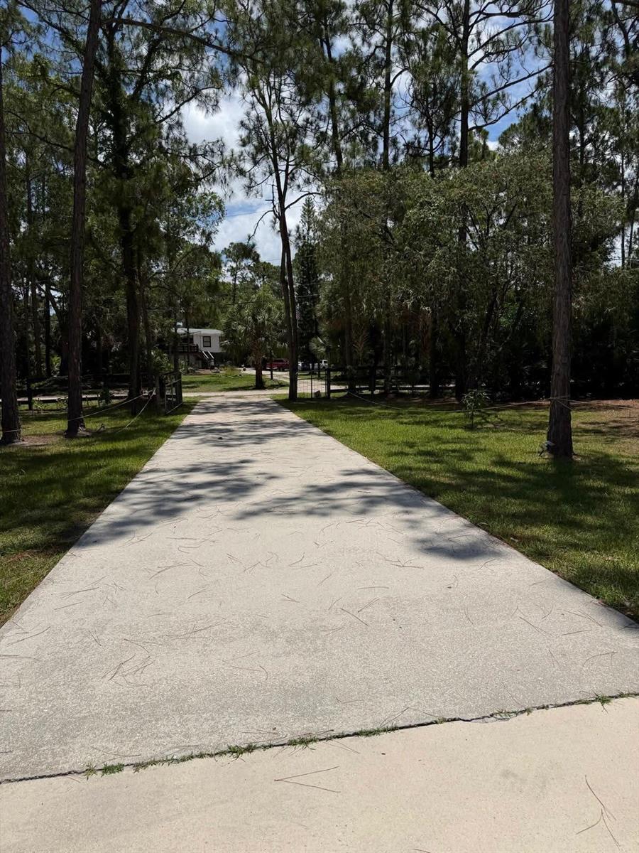 A long concrete driveway leads through a wooded yard toward a house in the distance — 15647 N 116th Ter Terrace N, FL 33478, FL