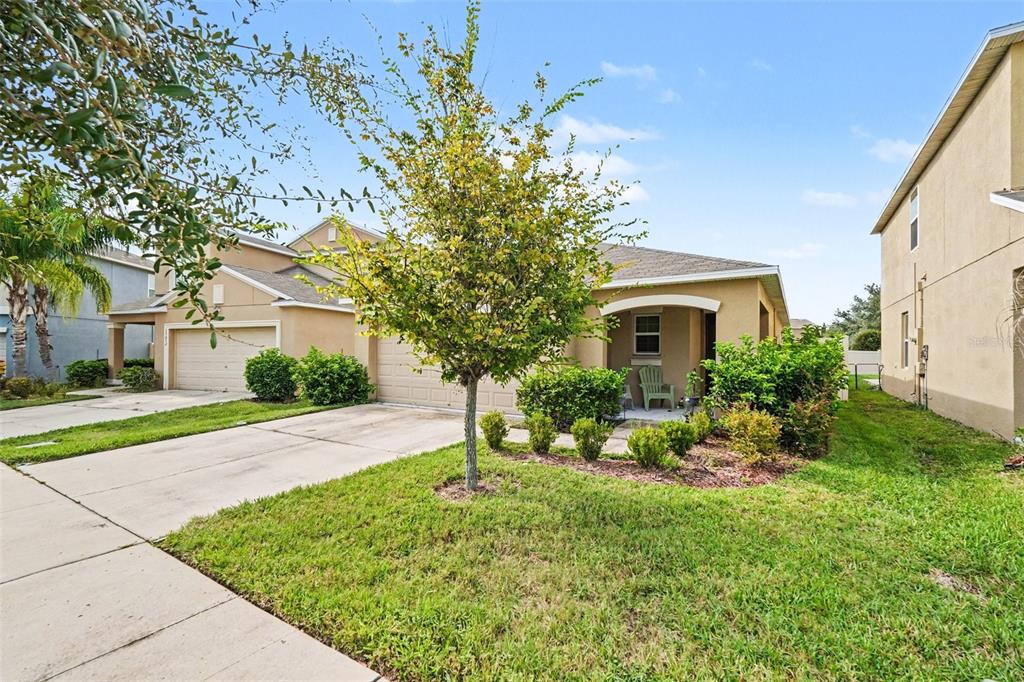 A tan single-story house with a two-car garage, a front porch, and a small tree — 17054 YELLOW PINE STREET, WIMAUMA, FL