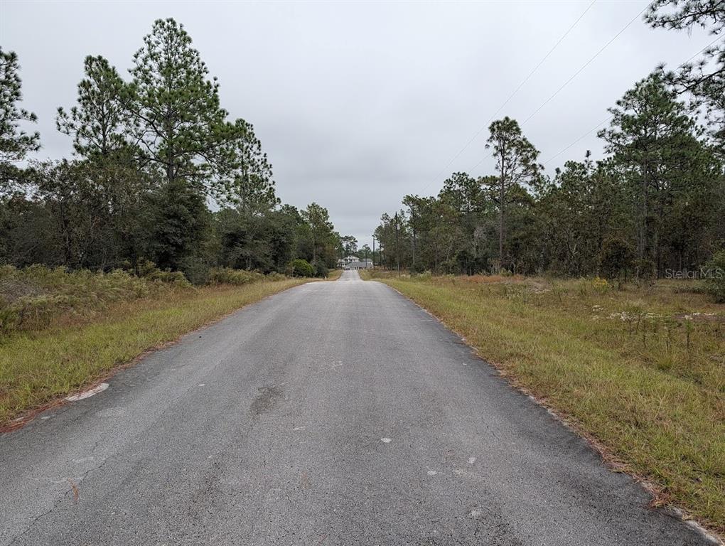 A paved road stretches through a wooded area toward a distant house under a cloudy sky — lot 13 NW GERANIUM AVENUE, DUNNELLON, FL