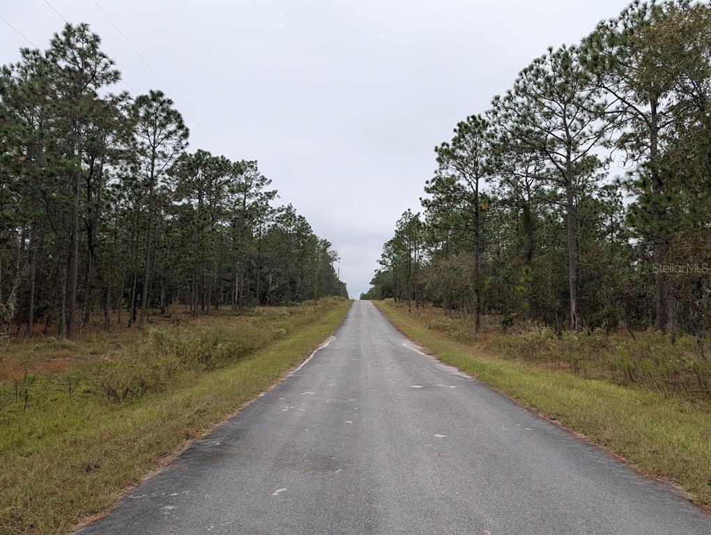 A paved road stretches through a wooded area under an overcast sky — lot 13 NW GERANIUM AVENUE, DUNNELLON, FL