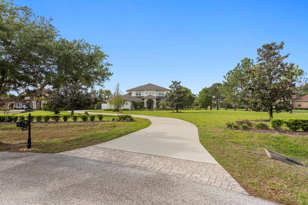 A long concrete driveway leads to a two-story house surrounded by a large grassy lawn — 17253 BREEDERS CUP DRIVE, ODESSA, FL