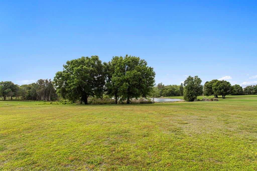 A grassy field features a small pond surrounded by several large trees under a blue sky — 17253 BREEDERS CUP DRIVE, ODESSA, FL