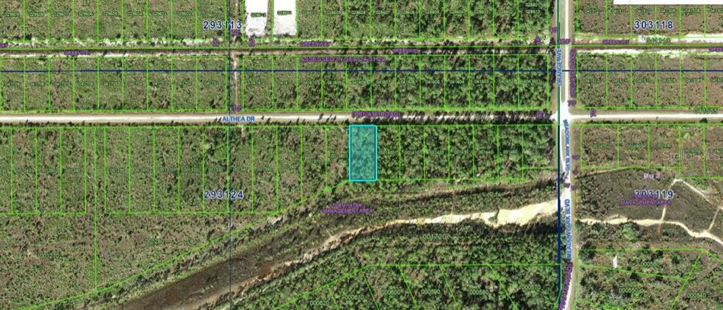This is a map showing a rectangular parcel of land highlighted in blue along a road — ALTHEA DRIVE, INDIAN LAKE ESTATES, FL