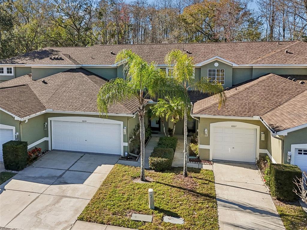 An exterior view of two attached townhomes with green siding, brown roofs, and palm trees — 8809 CASABLANCA WAY, TAMPA, FL
