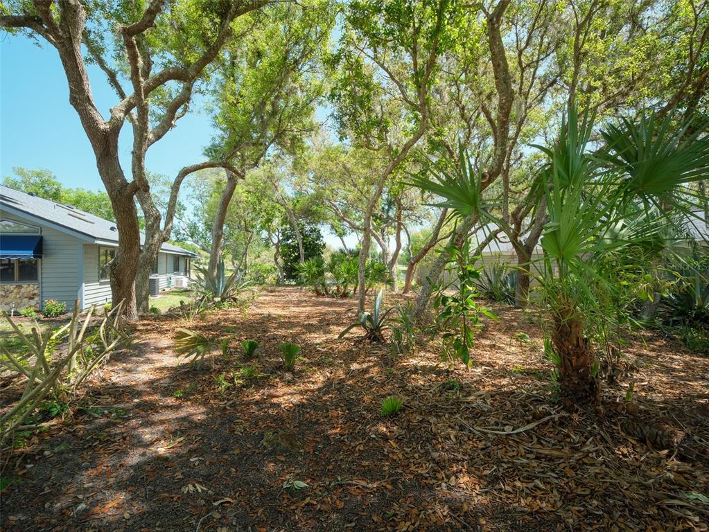 A wooded backyard area with a house on the left and scattered palm plants — 1107 LOCH LOMOND COURT, NEW SMYRNA BEACH, FL